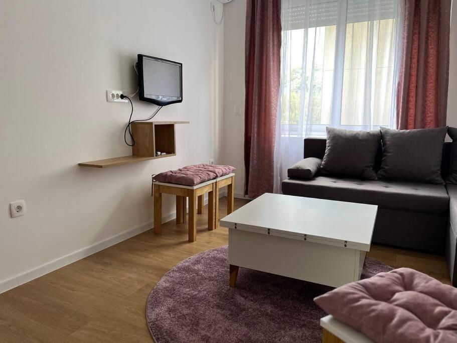 Apartment Centar ポドゴリツァ エクステリア 写真