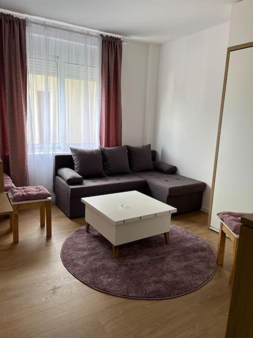 Apartment Centar ポドゴリツァ エクステリア 写真