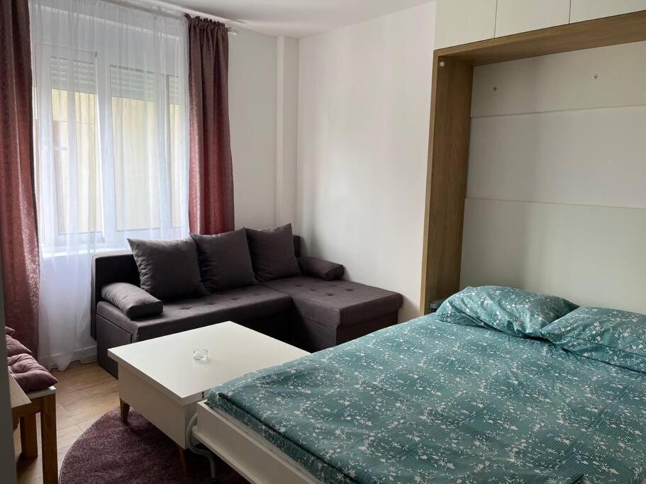 Apartment Centar ポドゴリツァ エクステリア 写真