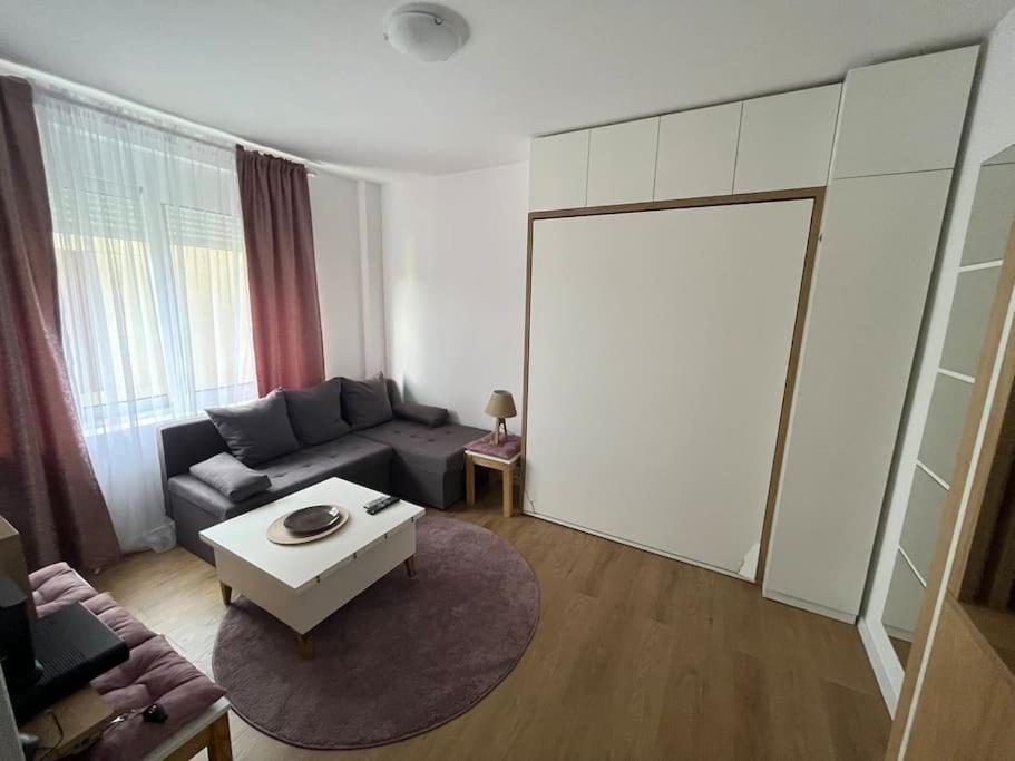 Apartment Centar ポドゴリツァ エクステリア 写真